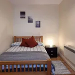 Rent 1 bedroom apartment in dublin