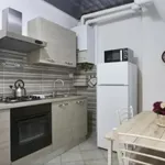 Rent 1 bedroom apartment in Florence