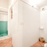 Rent 1 bedroom apartment in Florence