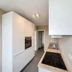 Rent 2 bedroom apartment in Namur