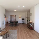 Rent 1 bedroom apartment of 80 m² in Maastricht