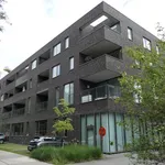 Rent 1 bedroom apartment in Gent Sint-Denijs-Westrem