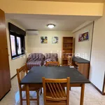 Rent 2 bedroom apartment of 50 m² in Messina