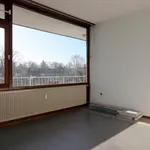 Rent 3 bedroom apartment of 76 m² in Zeist