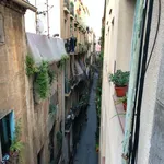 Rent 3 bedroom apartment in Barcelona