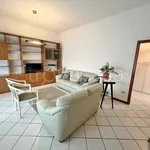 Rent 3 bedroom house of 100 m² in Padova