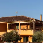 Rent 3 bedroom apartment of 75 m² in Orbetello