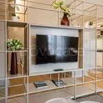 Rent 3 bedroom apartment of 100 m² in Firenze