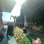 Rent 3 bedroom apartment of 81 m² in Genoa