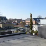 Rent 2 bedroom apartment in BALEN