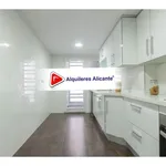 Rent 4 bedroom apartment of 145 m² in Alicante