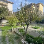 Rent 1 bedroom apartment of 32 m² in Roseto Capo Spulico