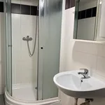 Rent 1 bedroom apartment in Brno