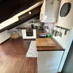 Rent 3 bedroom apartment of 40 m² in Turin