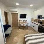 Rent 1 bedroom apartment in Zlín