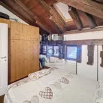 Rent 3 bedroom apartment of 70 m² in Trento