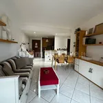 Rent 1 bedroom apartment of 58 m² in Albano Laziale