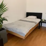 Rent 1 bedroom apartment of 30 m² in Düsseldorf