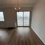 Appartement à Louer - 6655 Chemin Mackle, Côte-Saint-Luc/Hampstead/Montréal-Ouest - 15 photos | Logis Québec