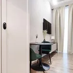 Rent 1 bedroom apartment in vilnius