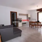 Rent 3 bedroom apartment of 90 m² in Verona