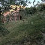 Appartamento in affitto a Narni via Capitonese,208, arredato, giardino, vicinanze negozi - TrovaCasa