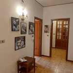 Rent 3 bedroom apartment in Palermo