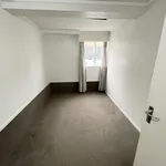 Rent 4 bedroom house in Albert-Eden