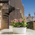 Rent 1 bedroom apartment of 538 m² in Seville