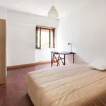 Rent a room in lisbon