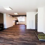 Rent 3 bedroom apartment of 100 m² in Capital City of Prague