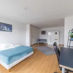  appartement avec 4 chambre(s) en location à Strasbourg