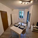 Rent 1 bedroom apartment of 23 m² in reimsT
