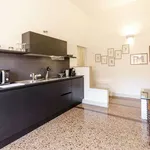 Rent 1 bedroom apartment of 50 m² in bologna