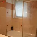 Rent 4 bedroom apartment of 78 m² in Ježkovice