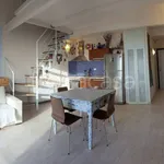 Rent 3 bedroom apartment of 67 m² in Pisa