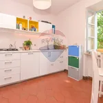 Rent 5 bedroom apartment of 200 m² in Moncalieri