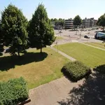 Rent 3 bedroom apartment of 6 m² in Maastricht