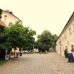 Rent 2 bedroom apartment of 73 m² in Capital City of Prague