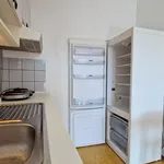 Rent 1 bedroom apartment of 38 m² in Praha 3 Táboritská