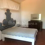 Rent 4 bedroom house of 130 m² in Siena