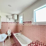 Rent 1 bedroom house of 45 m² in Ardea