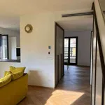 Rent 3 bedroom apartment of 120 m² in Turin