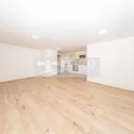 Rent 1 bedroom apartment of 39 m² in Prague