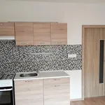 Rent 2 bedroom apartment of 33 m² in Ústí nad Labem