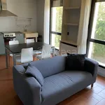 Rent 2 bedroom apartment of 65 m² in Noventa Padovana