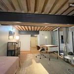 Rent 3 bedroom apartment of 106 m² in Lyon