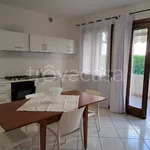 Rent 4 bedroom apartment of 80 m² in Bassano del Grappa