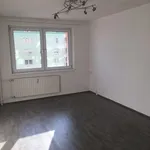 Rent 1 bedroom apartment in Chomutov