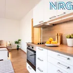 Rent 1 bedroom apartment in Capital City of Prague